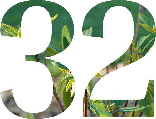 lycee-folie-saint-james-reussite-concours-grandes-ecoles